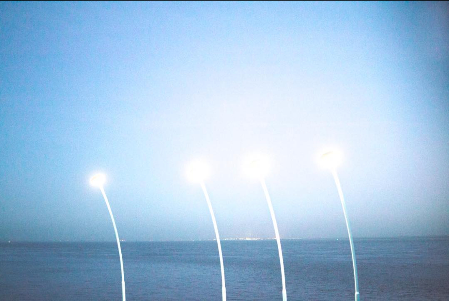 Frederique Scholtes On absence | 2019